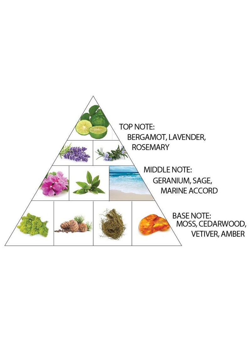 Al Haramain Amber Oud Carbon Edition 100ml, Unisex Eau de Parfum - Image 3